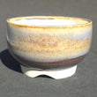 Cosmic Storm Kusamono Pot