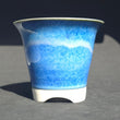 Ocean Shore Kusamono Pot